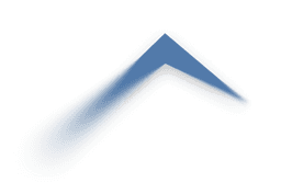 Everest Group PEAK Matrix